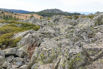 Fototapeta premium Landscape of Vitosha Mountain near Kamen Del peak, Bulgaria