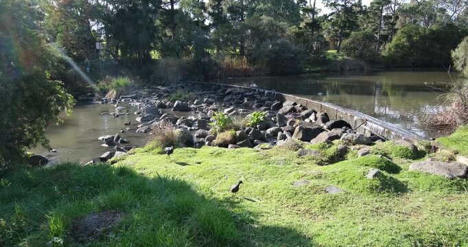 Edgars Creek flowing into Edwardes Lake with stone embankment in Reservoir, Melbourne, Australia. Concept of urban waterway connection, ecological restoration.