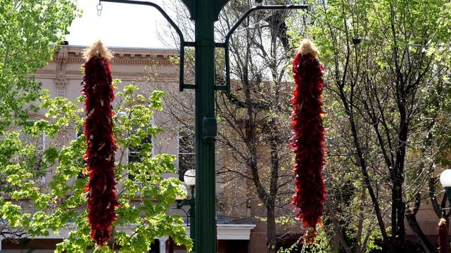 Chile ristras hang throughout the historic Plaza in Santa Fe, New Mexico, USA