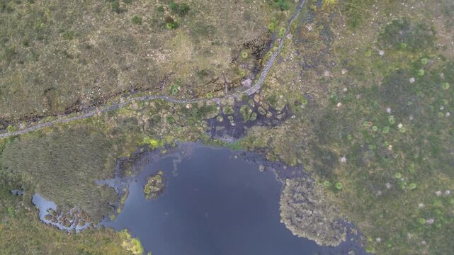 Aerial Drone View Revealing Lagoon Through Paramo Mist. High quality 4k footage