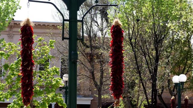 Chile ristras hang throughout the historic Plaza in Santa Fe, New Mexico, USA