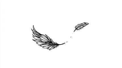 Fototapeta premium Delicate black feathers with detailed lines, floating against a clean white backdrop