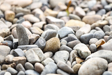 Texture of pebbles as background, closeup