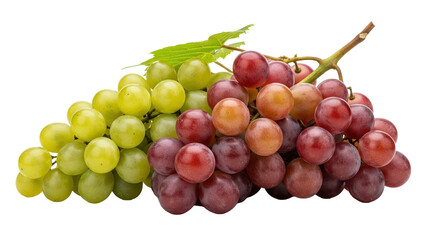 Fototapeta premium Isolated whole bunch of grapes (green and red), fresh produce, white backdrop