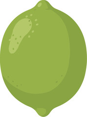 Vector illustration of a fresh whole green lime fruit.
