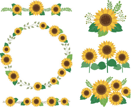 Sunflower borders and decorative collections