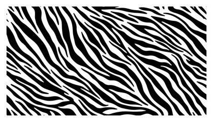 Abstract black and white zebra stripes pattern or wild animal skin texture background for safari design © Camel