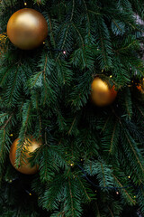 Golden Christmas bauble on fir tree with festive lights and soft bokeh