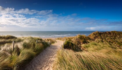 Fototapeta premium Coastal Path Through Grassy Dunes