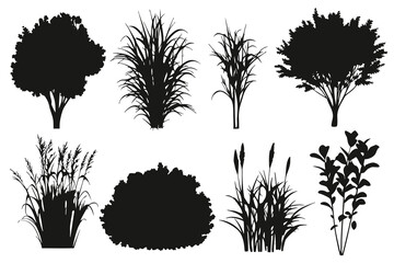 Collection of various plant and tree silhouettes in black and white silhouette © royaldudegfx