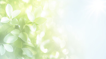 Fresh green leaves close up with bright sunlight bokeh in spring