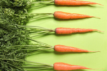Fresh carrots with leaves on green background