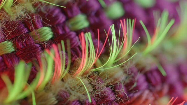Extreme Macro Rough Fabric Weave with Neon Threads in Chartreuse Crimson 4K