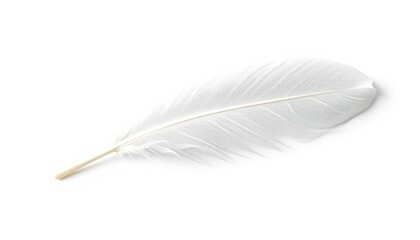 Single white feather, pristine and soft, against pure white background,  macro,  serenity