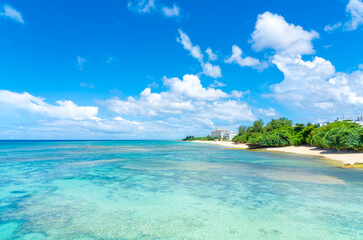 沖縄の海