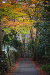 Raigoin Temple in Kyoto, Japan in late autumn