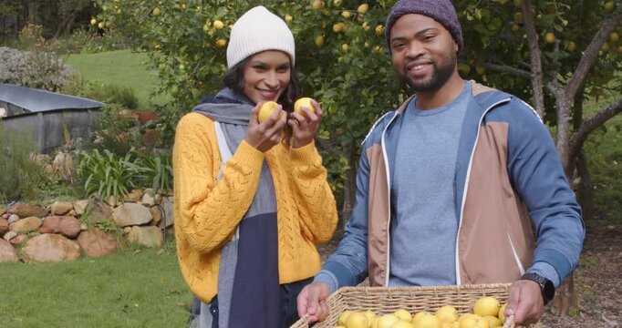 Diverse couple showing lemon harvest beside stone border and steadying basket in orchard