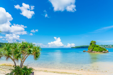 沖縄の海