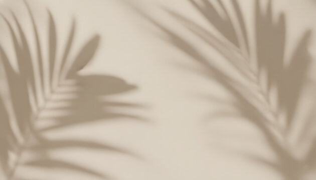 Palm Leaf Shadow Background