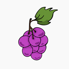 purple grape vector design. fruit design on white background