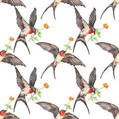 Watercolor seamless pattern with swift flying swallow with orange flower in sky on white background. Spring and summer bird for card or wedding celebration invite. Sketchbook or wallpaper or wrapping