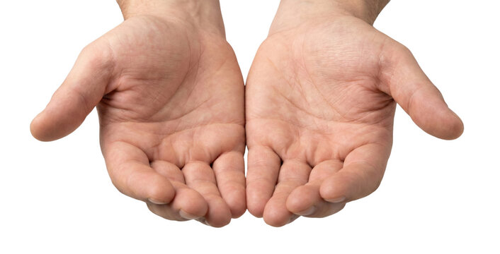 Two open human hands palms up. Giving or receiving gesture