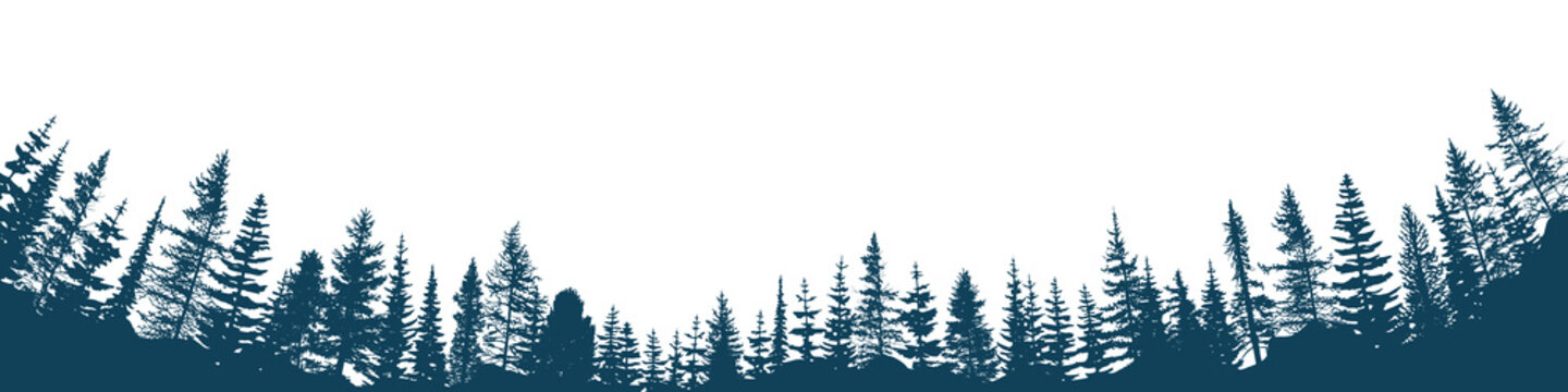 Silhouette of a forest, isolated on white background, vector illustration