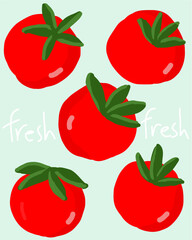 Fresh Hand-Drawn Tomatoes Illustration Art