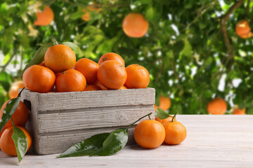 Fresh juicy tangerines on wooden table near tree outdoors