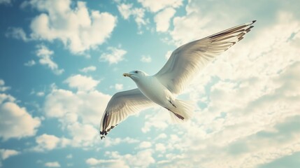 Fototapeta premium white dove against a sky generative ai