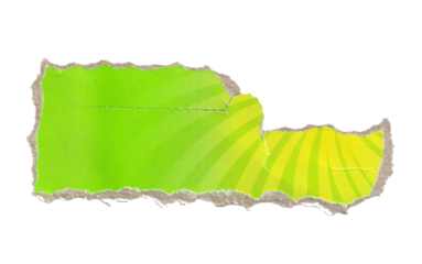 Green Torn Paper Texture with Sunburst Design and Transparent Background