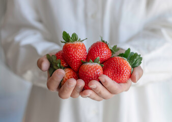 Hands Holding Fresh Ripe Strawberries