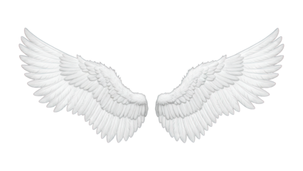 White Angel Wings Isolated on White Background