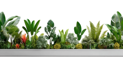Lush Green Indoor Garden Display with Varied Tropical Plants and Foliage for Modern Home Decor