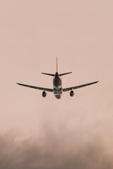 Commercial Jet Aircraft from Rear Against Soft Sky