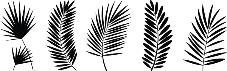 Tropical palm leaf silhouettes, botanical black foliage, exotic jungle leaves, nature-inspired design elements, isolated vector shapes for creative decoration