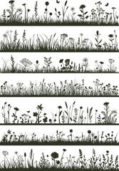 Wild grass and flowers silhouettes, meadow plants, nature border design, floral vector illustration, botanical elements, spring field decoration, garden art