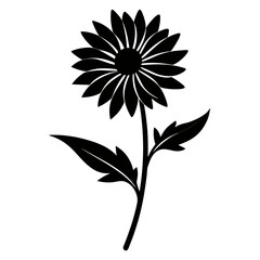 black and white flower