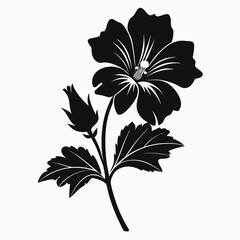 black and white flower