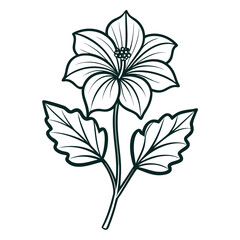 vector illustration of a common mallow flower