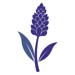 blue flower isolated on white