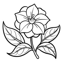 black and white flower