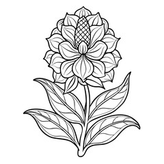  lungwort flower line art on white background