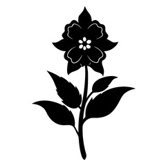 black and white flower