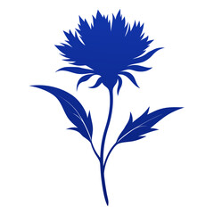 mountain cornflower flower silhouette on white background