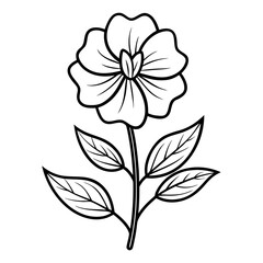 black and white flower