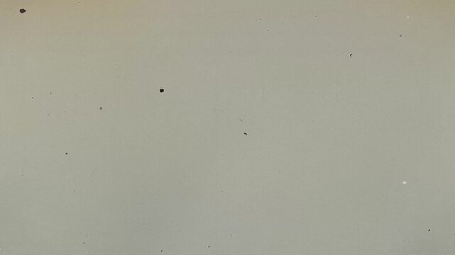 Noise, Dust, Specks, Scratches Vintage Film Overlay Effect.
