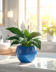 Peace Lily Plant in Blue Pot on Countertop with Sunlight.