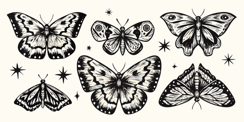 A vintage collection of beautifully detailed butterfly and moth illustrations © Provhash
