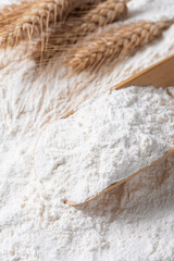 Close-up of white flour with wheat ears background.